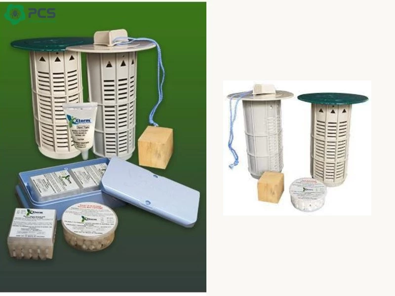 Cách diệt mối tại nhà 